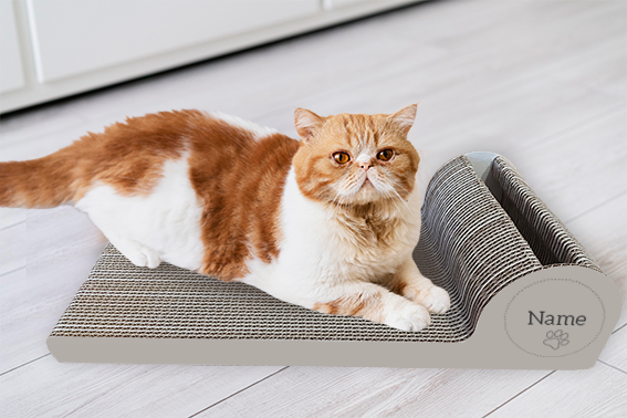 Katzenlounge mit Kratzfläche: PERSONALISIERUNG